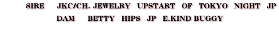          SIRE@@JKC/CH. JEWELRY@UPSTART@OF@TOKYO@NIGHT@JP  DAM@@BETTY@HIPS@JP@E.KIND BUGGY @